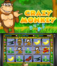 Crazy Monkey