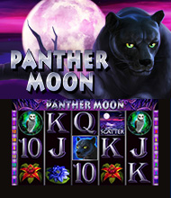 Panther Moon